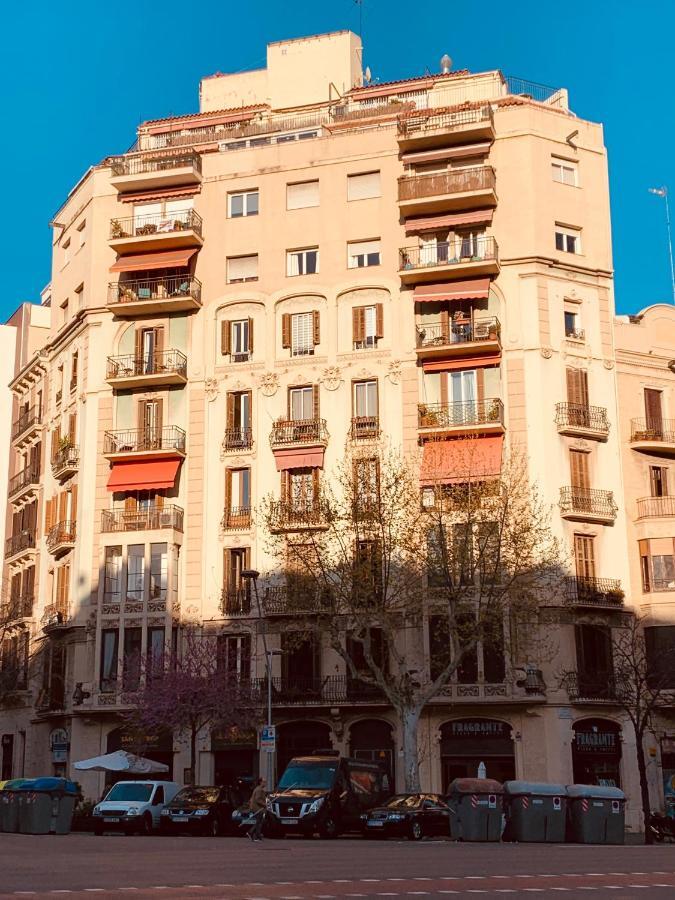 Apartment Spacious & Comfortable Flat In Centric Eixample Barcelona